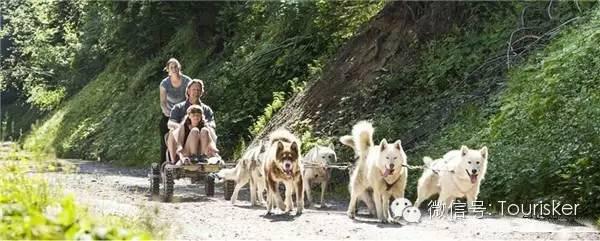 在这里露营，一年四季都景色如画